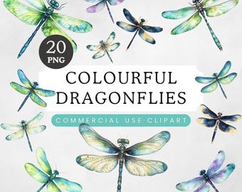 Dragon fly Clip art, Dragonfly Fussy Cuts PNG Clipart Collection, Watercolour Insects, Digital Wall Art, Illustration, Commercial Use