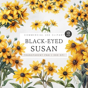 Black Eyed Susan PNG, Yellow Wildflowers Clipart, Black-Eyed Rudbeckia Clip Art, North American Prairie Florals, Borders, Wreaths, Bouquets