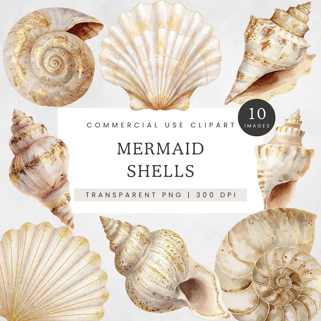 Mermaid Shell Clipart, Seashell PNG Set With Gold Accents, Ocean ...