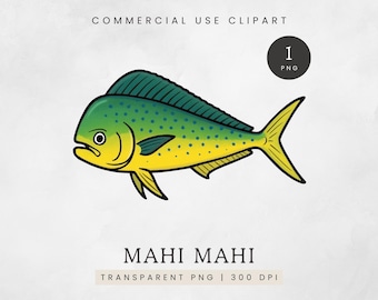 Mahi Mahi PNG, Aquarell Mahi Mahi Fisch Clip Art, Tiefseefischen Clipart, Salzwasserfisch Grafik, Mahi Mahi Bild, Ozeanfisch Design