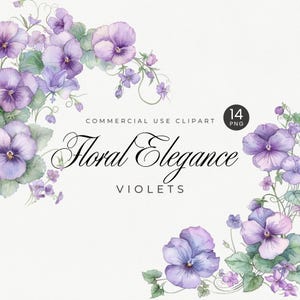 Clipart de flor violeta, PNG floral aquarela, flor do mês de nascimento vintage de fevereiro, buquês, bordas, flores silvestres, efêmeras de clip art roxas