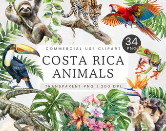Costa Rica Animals PNG Clip Art, Rainforest Animals Clipart, Sloth, Macaw and Jungle Panther, Tropical Wildlife Graphics Sublimation