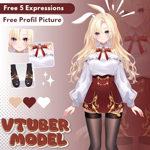 Custom Vtuber Model, Live2D Model, Vtuber Design, Anime Art, Pngtuber, Vtuber Assets, Vtuber Rigging, Commercial Use, Vtube Studio