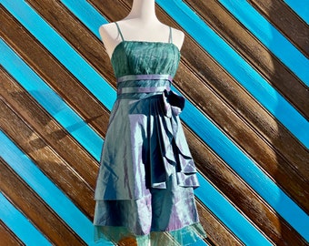 Vintage Taffeta Dress