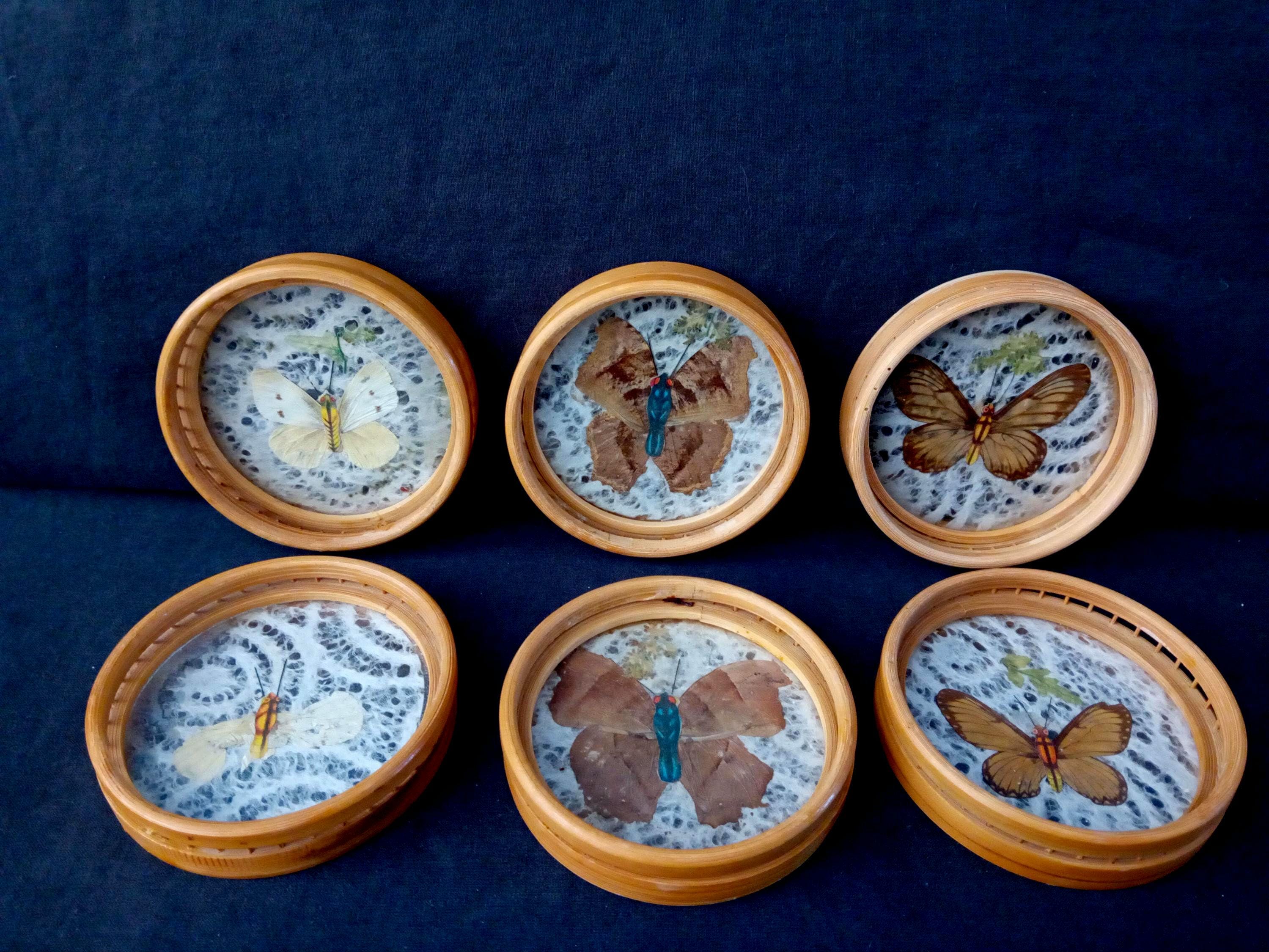 VintagePassion78NL - Etsy Canada