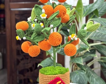 Bonsai Kumquat Baum für dekorative Accessoires, Wohndekoration, Geschenke für Freunde und Verwandte.