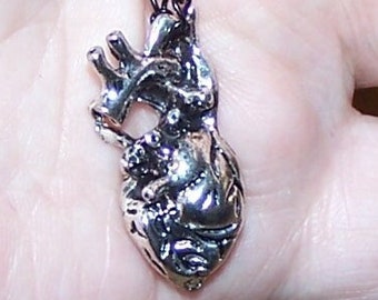 anatomically correct heart pendant on black chain