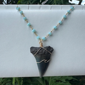 Mako Shark Tooth Necklace