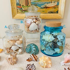 May include: Three glass jars filled with seashells. Two jars have clear glass lids, and one has a cork stopper. The jars are filled with various seashells in shades of white, tan, and brown. A blue jar is filled with seashells.