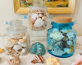 Vintage Seashell Filled Glass Jar: Choice of Tiffin, LE Smith, or Crownford