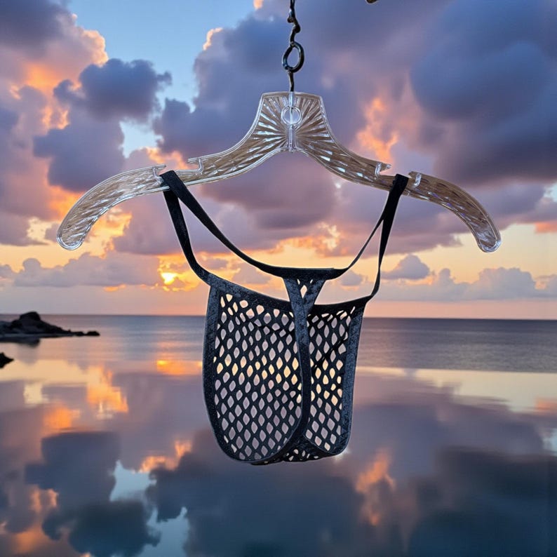 May include: A black mesh thong underwear hangs from a clear plastic hanger. The underwear has a unique design with a net-like pattern. The background features a sunset over the ocean, with the sky reflecting in the water.