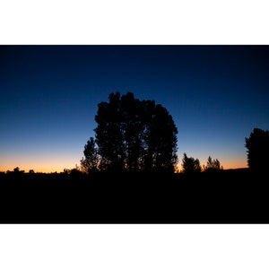 Tree Silhouette, Montana Sunset, Color Photography, Photography, Printable Wall Art, Home Wall Decor, Digital Print, Digital Download