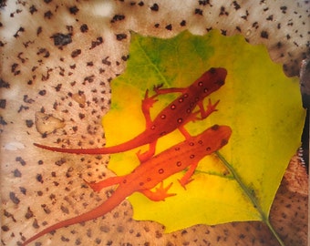 Lámpara de noche Eft roja de la línea exclusiva de Steele Photography. Tomada en Stroudsburg, Pensilvania