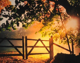 Luz nocturna Ethereal Gates: Fotografía de Bedford, NY, vidrio de 10 x 10 cm
