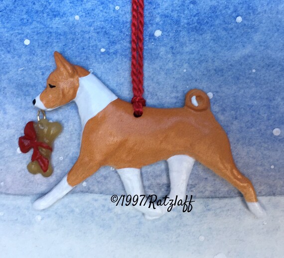 red and white basenji