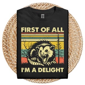Tout d'abord, je suis un délice sarcastique chemise amateur d'opossum en colère, chemise sarcastique mignonne, amour de soi sarcastique, chemise sarcasme