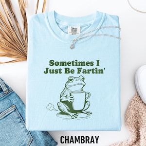 Sometimes I Just Be Fartin Shirt, Funny Frog Sweatshirt, Unhinged Tshirt, Weirdcore Outfits, Gag gift Sweater, Funny Meme Hoodie, Quirky Tee