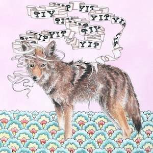 Può includere: Un coyote con un mantello marrone e grigio si trova in piedi su uno sfondo con un motivo blu, giallo e rosso. Il coyote è circondato da nastri bianchi con la parola "YIP" scritta su di essi.