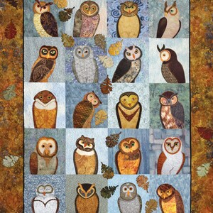 Quilt Book, Outstanding Owls, Applique Quilting Pattern Book, Owl ...