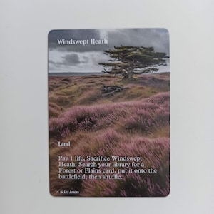 Windswept Heath - Carte personalizzate MTG Magic MTG Alter Full Art proxy premium card