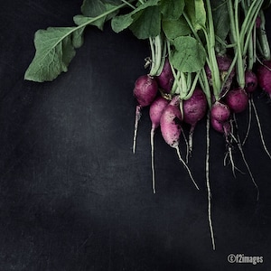 Radish Bunch; photography, fine art photography, photo, kitchen art, food art, dining room art, purple, by F2images