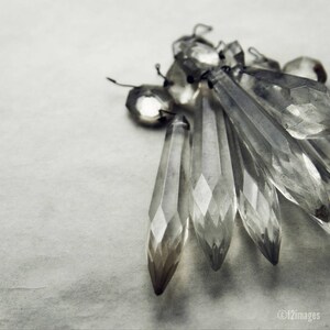 We Were Sparkling; wall art, fine art photography, she shed art, glamour art, lady art, fancy wall art, cottage art, by F2images