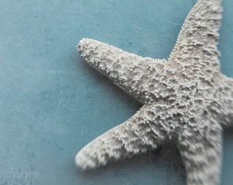 8x12 Starfish