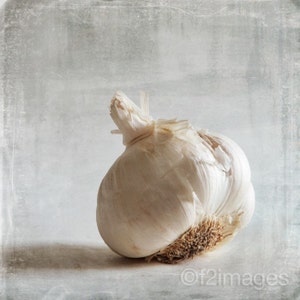 Garlic; photography, fine art photography, photo, kitchen art, food art, dining room art, white, by F2images