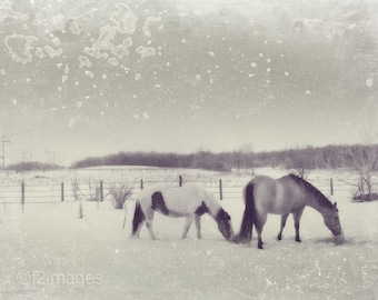 8x10 Stepping On Snow