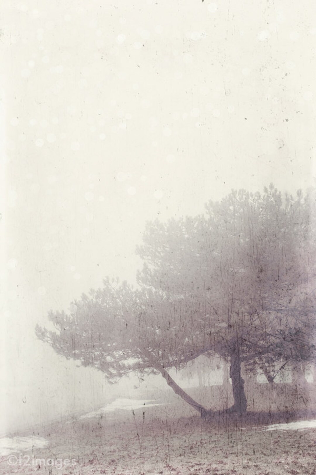 Whisper Tree Print | Distressed Texture Fine Art Paper (8x12) - Etsy