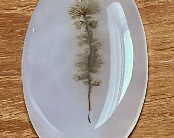 May include: Oval-shaped, translucent gemstone with a delicate, preserved plant inclusion. The plant, with a slender stem and feathery details, is encased within the pale, milky stone. The stone is set against a wooden surface.