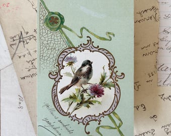 Antique Bird Postcard