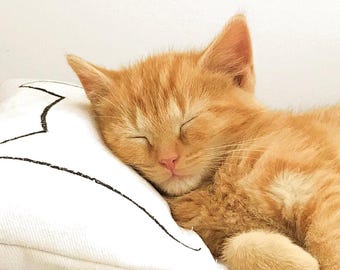 Juguete de almohada para gatos con hierba gatera orgánica, hecho a mano en EE. UU., para camas de gatos.