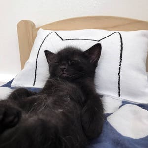 Regalos únicos para gatos, almohada de juguete para patear la cama de hierba gatera que se adapta a IKEA Duktig para tus gatitos de Xenotees, regalo de técnico veterinario, regalo de cumpleaños para gatos