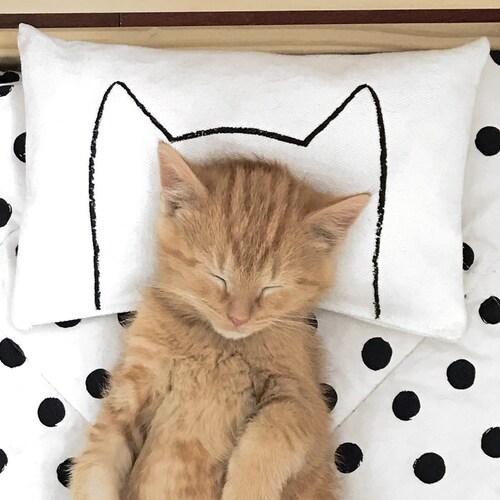 ikea cat pillow