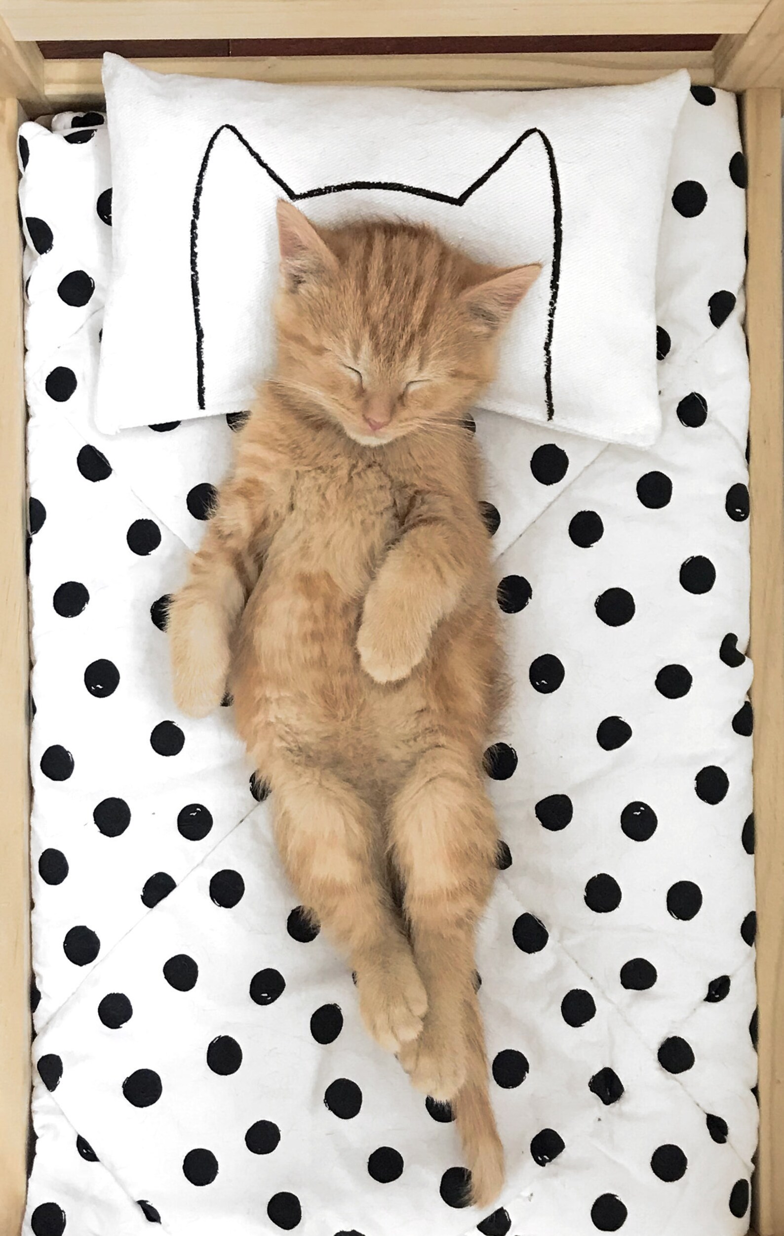 Catnip Cat Bed Pillow for IKEA Duktig by Xenotees pet Etsy