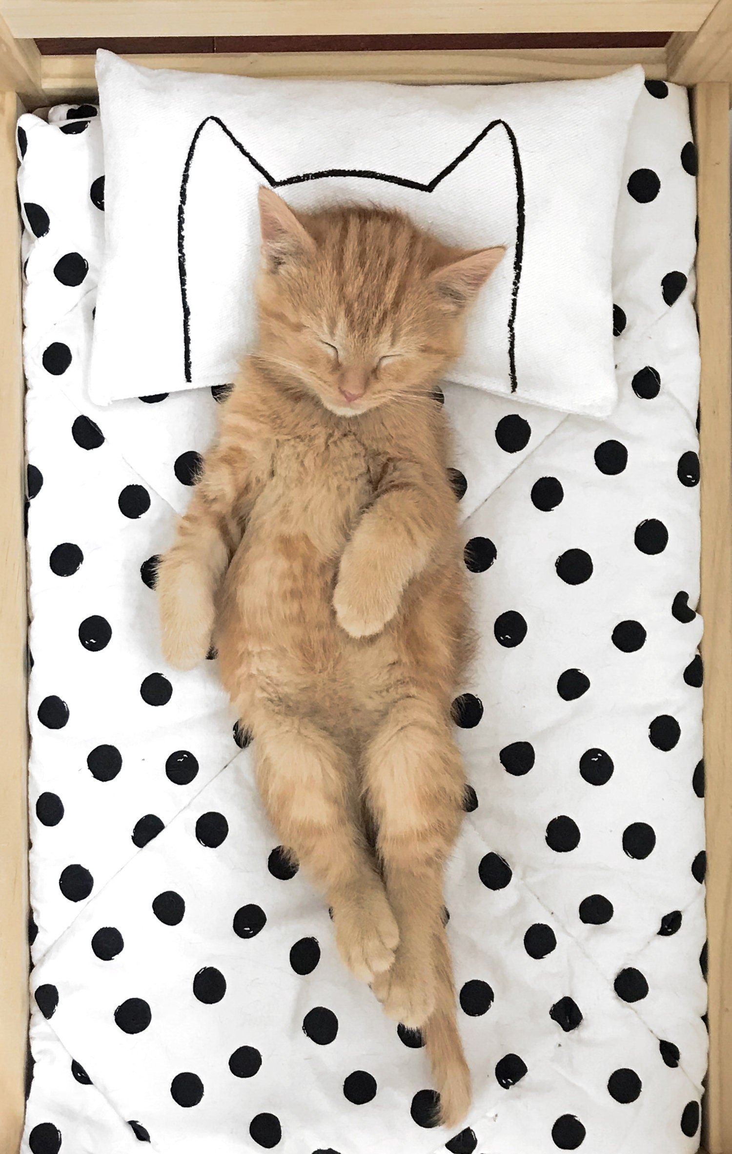 Catnip Kitten Cat Pillow Toy that Cat lover pillow | Etsy