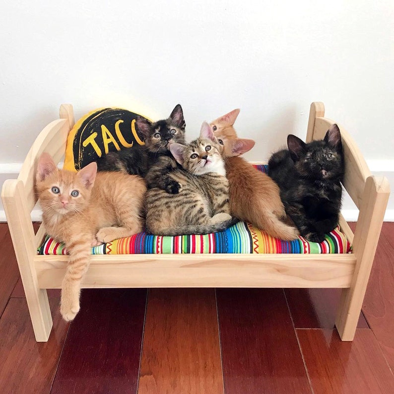 taco cat bed