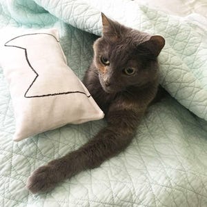 Organic Catnip Cat Kicker Toy: USA Made Cotton Pillow for IKEA Duktig Bed image 9