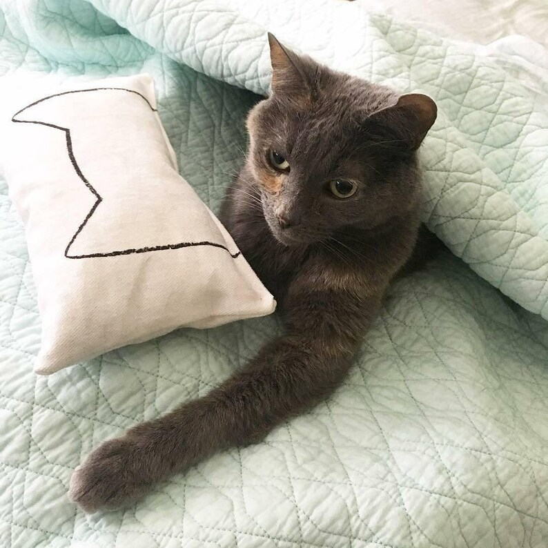 Organic Catnip Cat Kicker Toy: USA Made Cotton Pillow for IKEA Duktig Bed image 9