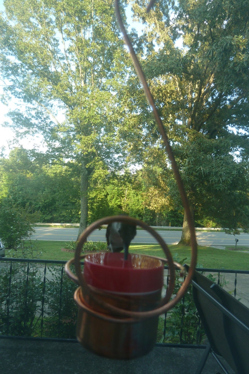 May include: A hummingbird feeder with a red and copper base, hanging from a wire hook. The feeder is surrounded by green foliage and a blurry view of a road in the background.