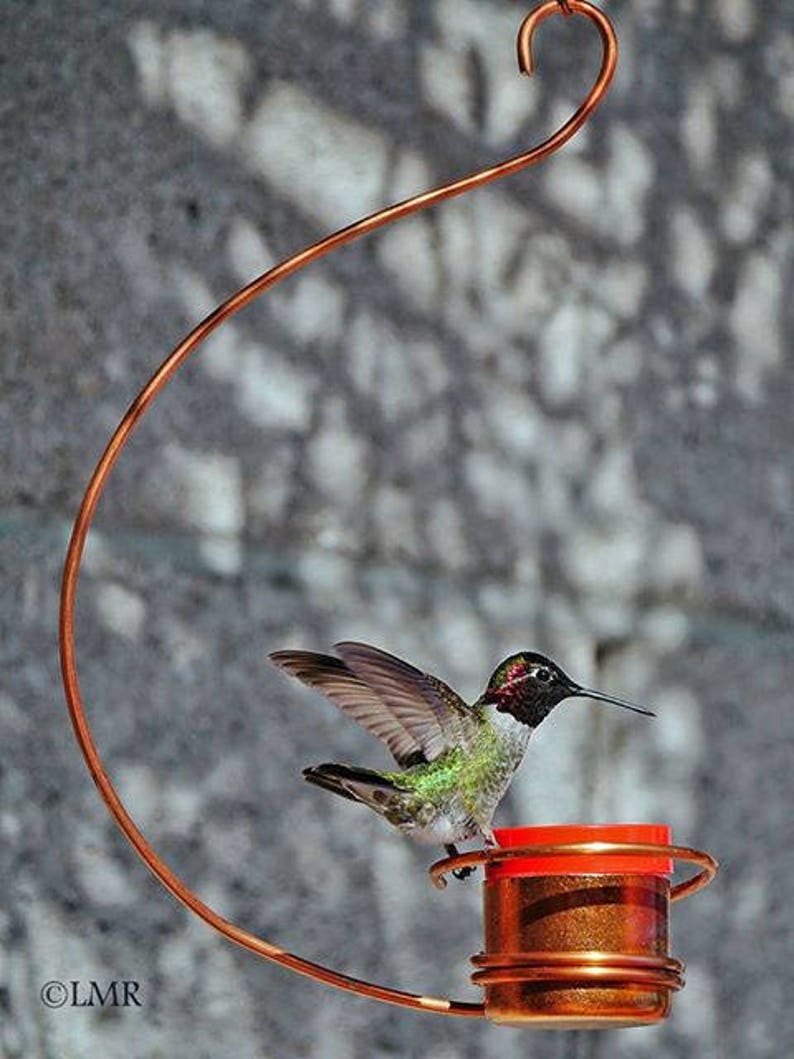 May include: A hummingbird feeder with a copper-colored base and a red top. A hummingbird is perched on the feeder, with its wings spread out.