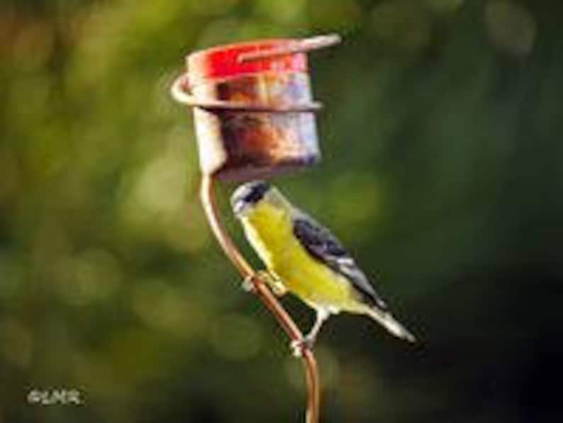 May include: A yellow and black bird perched on a copper-colored bird feeder. The feeder has a red lid and a small perch. The background is a blurred green, suggesting foliage.