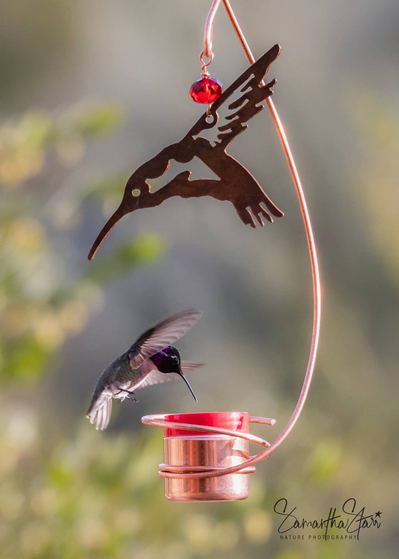 Bee-Proof, Drip-free Copper Hummingbird Feeder with Metal Hummingbird image 4