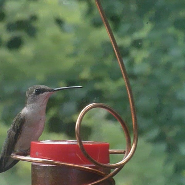 Window-Mounted Hummingbird Feeder, Bee-Proof and Drip-Free