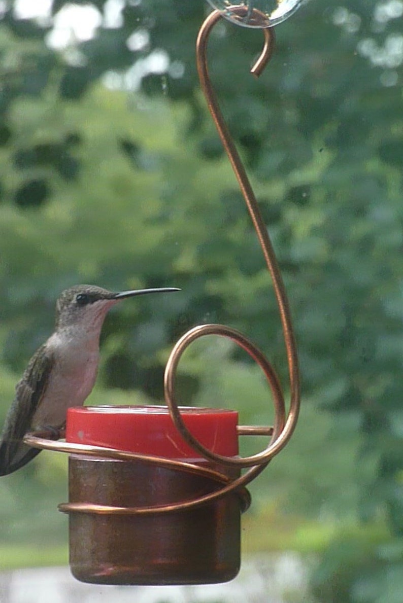 Window Mounted Bee Proof Hummingbird Feeder Etsy