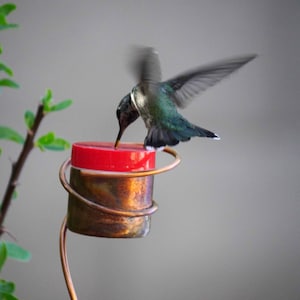 May include: A hummingbird with iridescent green feathers hovers near a red and copper-colored bird feeder. The feeder is cylindrical with a red top and is suspended by a curved copper wire. The bird is drinking from the feeder.