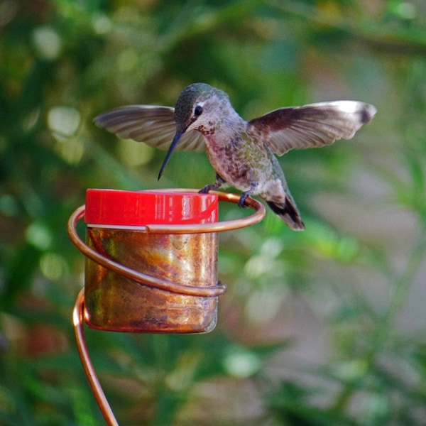 Flower Pot Stake Hummingbird Feeder, Bee-proof, Solid Copper