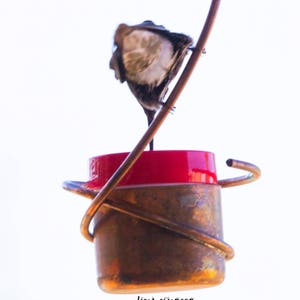 Bee-Proof, Drip-free Copper Hummingbird Feeder Version I image 9