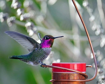 Bee-Proof, Drip-free Copper Hummingbird Feeder Version I